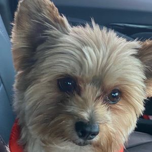 Meet your Posher, Ellen